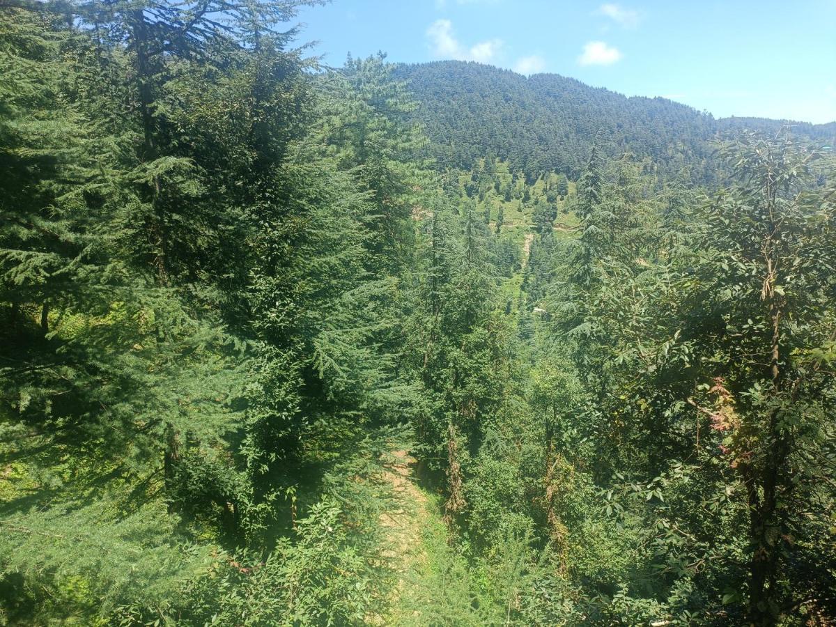 Peace Holiday Homestay Chail Exterior photo